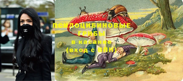 марки lsd Абаза