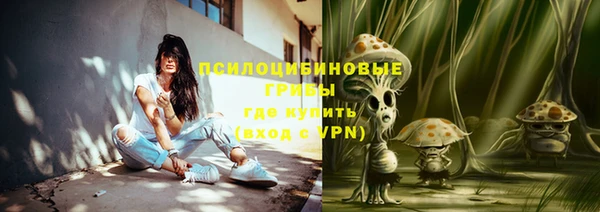 индика Абинск
