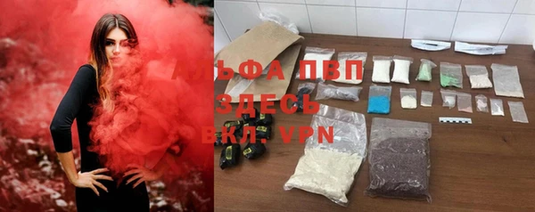 индика Абинск