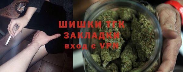 индика Абинск