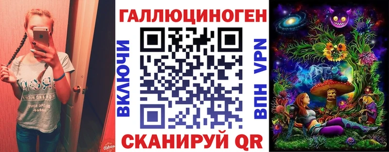 Псилоцибиновые грибы Cubensis  что такое   Ленинградская 