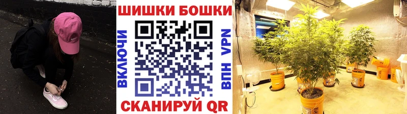 закладки  Ленинградская  Бошки Шишки OG Kush 